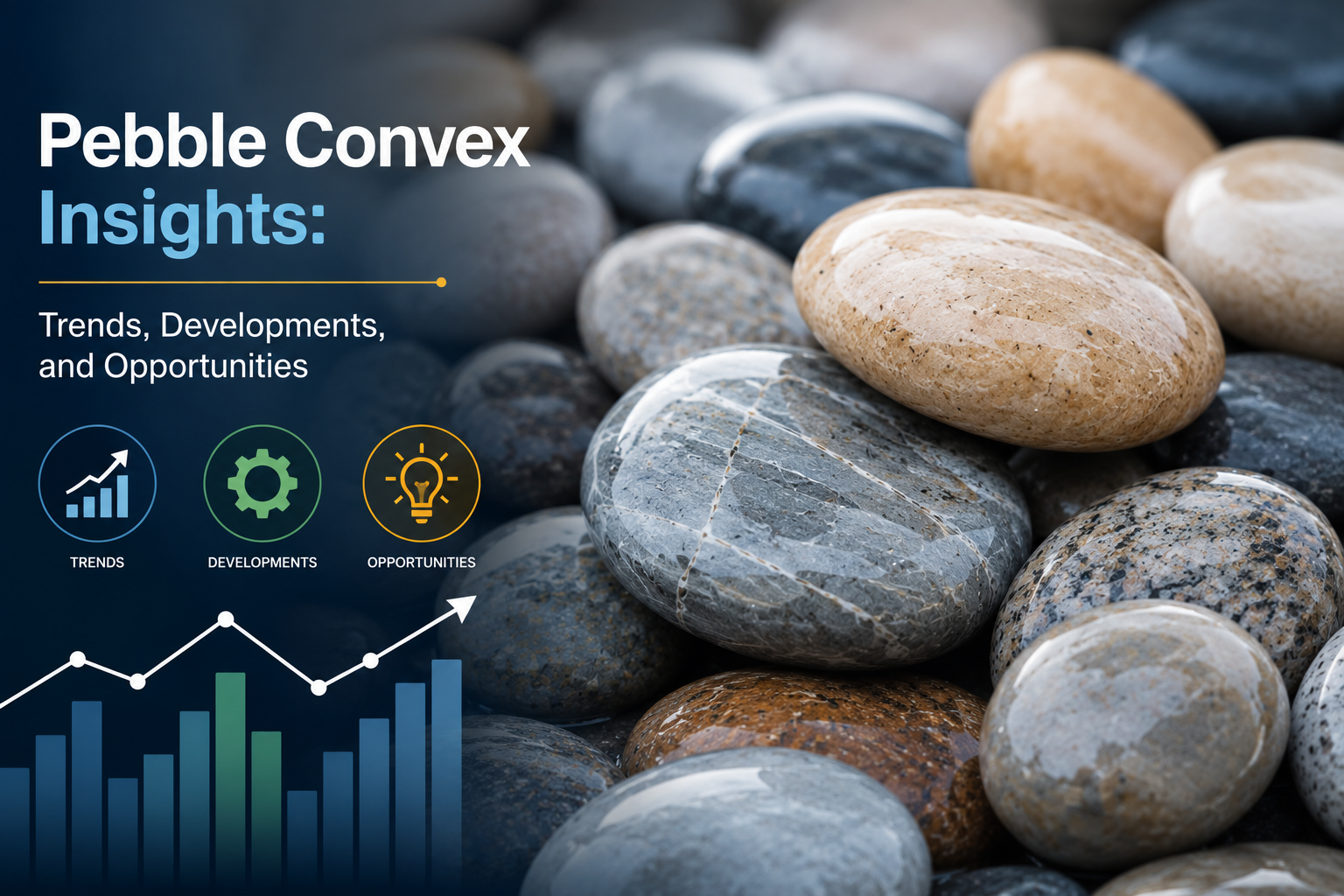 Pebble Convex Insights: Trends, Developments, and Opportunities
