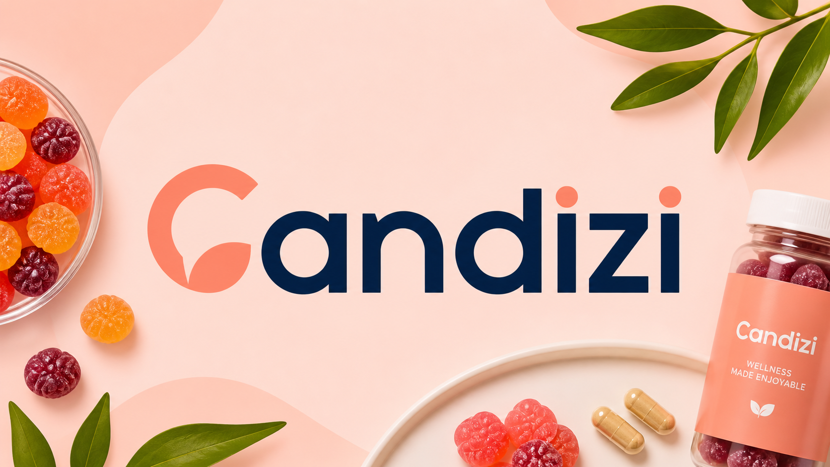 Candizi: A Detailed Look at Its Services and Digital Solutions